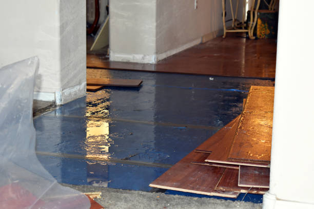 Professional Burst Pipe Cleanup technician working in Pepperell, MA